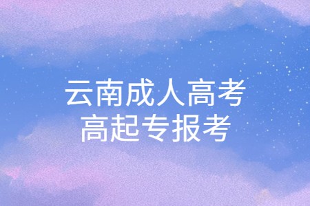 云南成人高考高起專報(bào)考