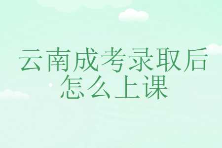 云南成考