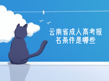云南省成人高考報(bào)名條件