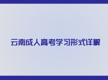 云南成人高考學習形式