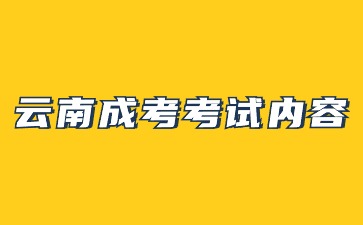2024年云南成考考試內(nèi)容是什么？