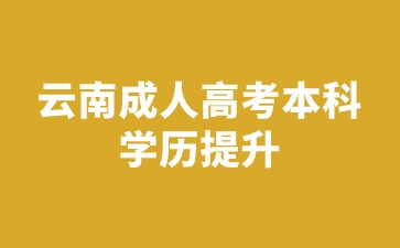 2024年云南成人高考本科畢業(yè)可以繼續(xù)讀研嗎？