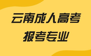 2024年云南成人高考報考專業推薦有哪些？